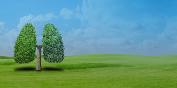 Image shows a green tree in a field with clouds. The leaves of the tree are split into two to depict lungs.